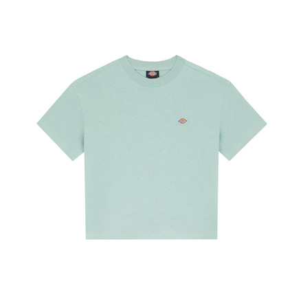 Dickies t-shirt groen