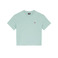 Dickies t-shirt groen 1