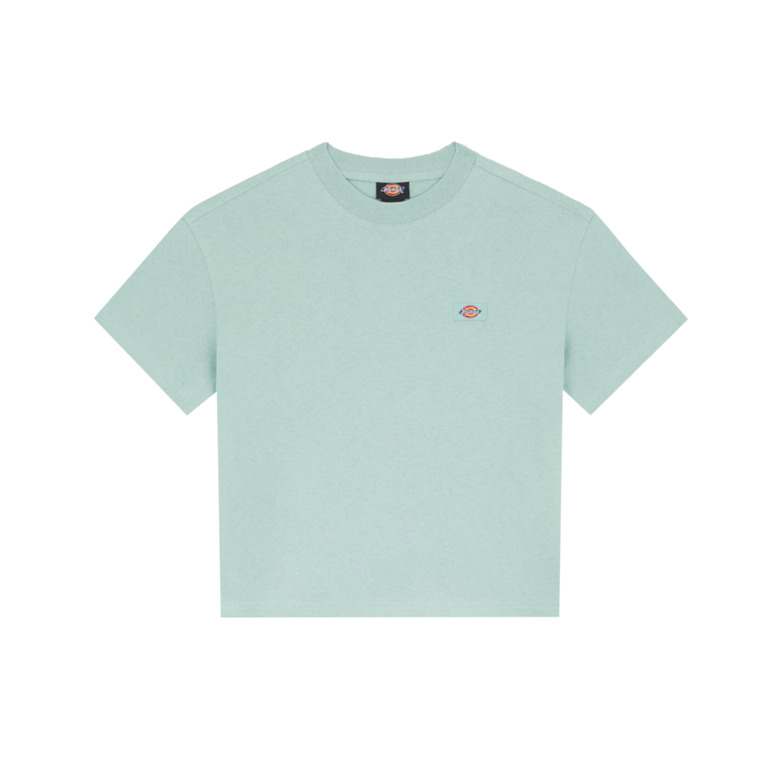 Dickies t-shirt groen
