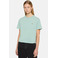 Dickies t-shirt groen 2