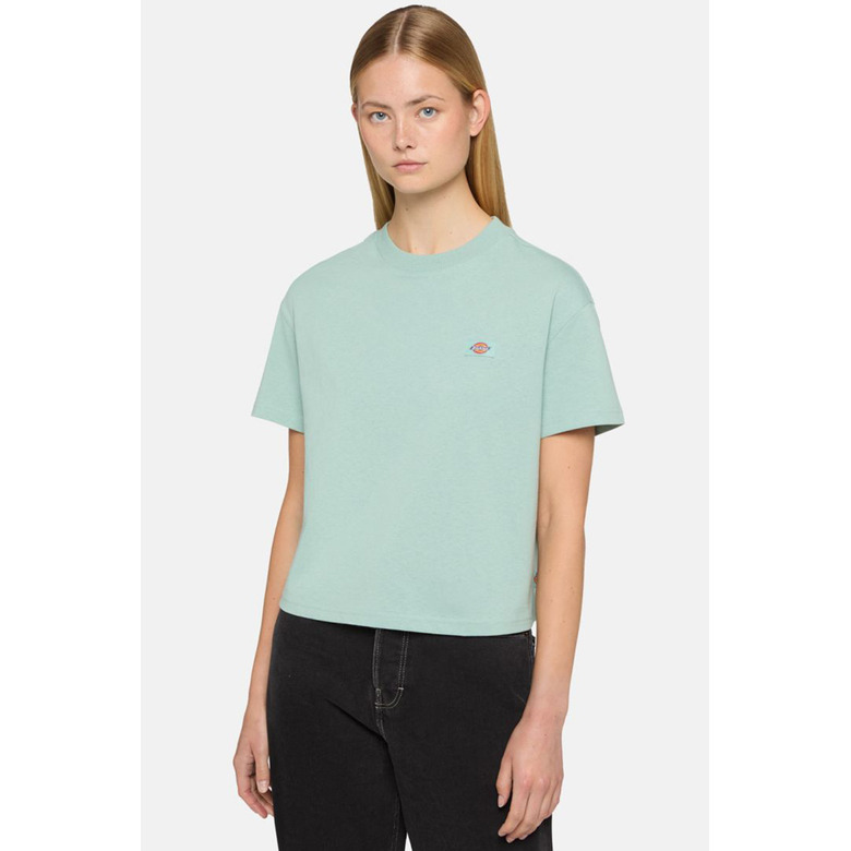 Dickies t-shirt groen 2