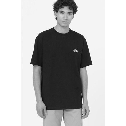 Dickies t-shirt rood