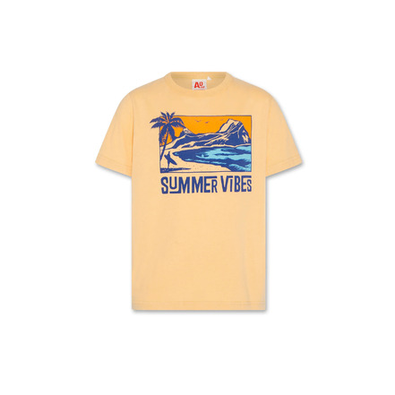 American Outfitters t-shirts lightbrown