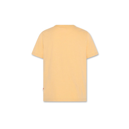 American Outfitters t-shirts lightbrown