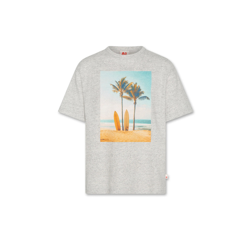 American Outfitters t-shirts grey