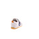 Benjie sneakers white 4