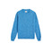 Homecore sweater blue 1