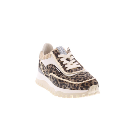 Floris Van Bommel sneakers braun