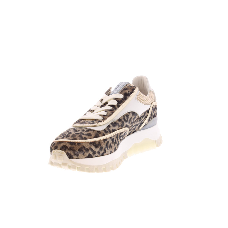 Floris Van Bommel sneakers brown 3