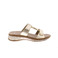 Ara tongs or 1