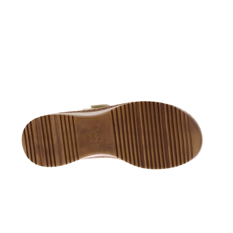 Ara tongs or 5