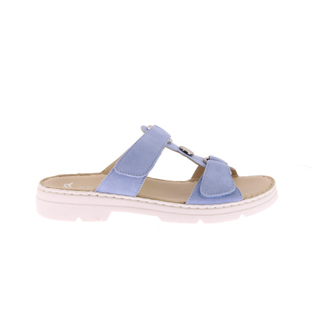 Ara tongs bleu