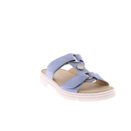 Ara tongs bleu