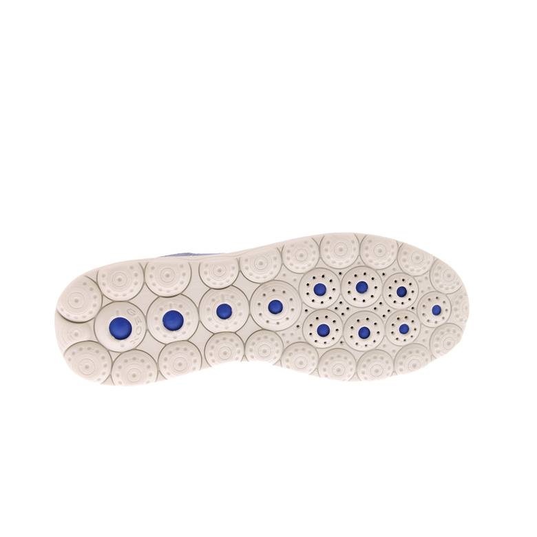 Geox sneakers blue 5