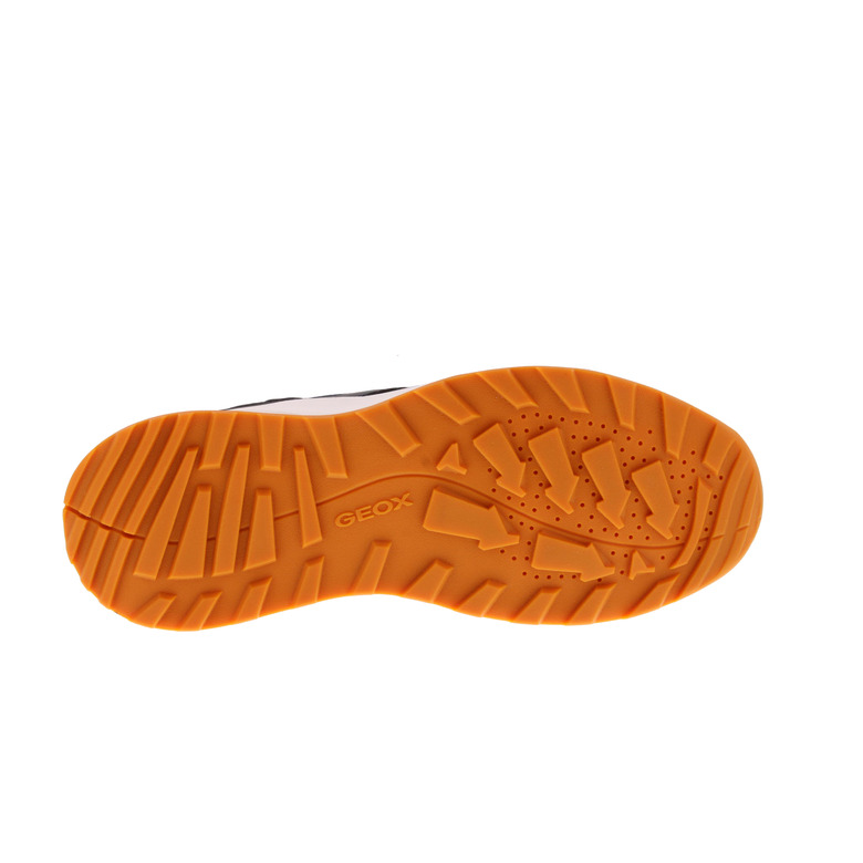 Geox sneakers blue 5