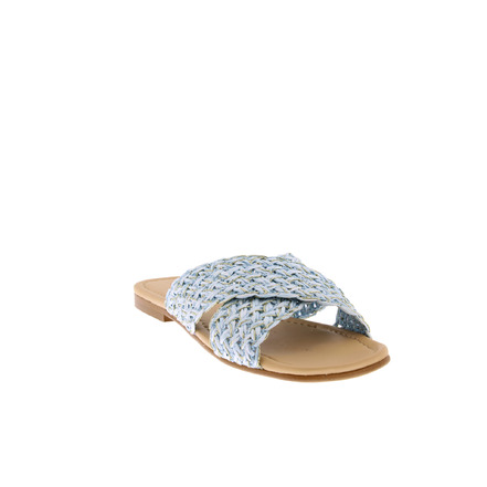 Riverwoods thong slippers blue