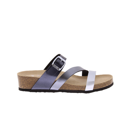 Ara tongs bleu