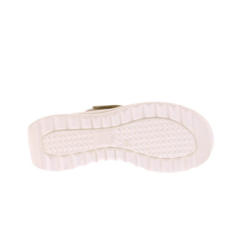 Ara tongs or 5