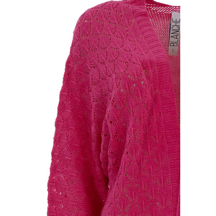 Dame Blanche cardigan roze