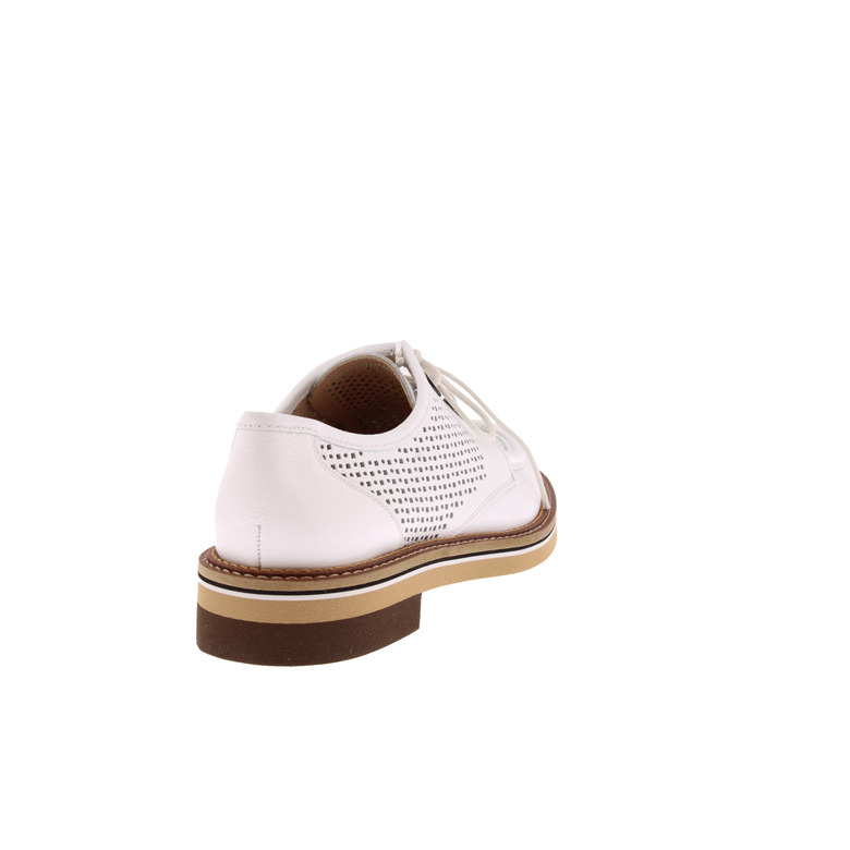 Pertini lace shoes --- 4