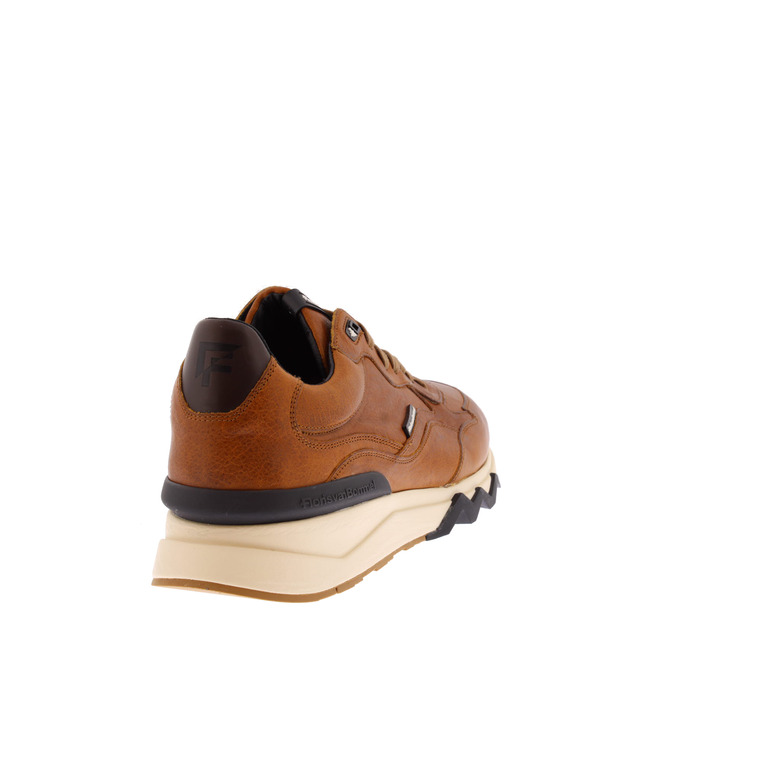 Floris Van Bommel sneakers cognac 4