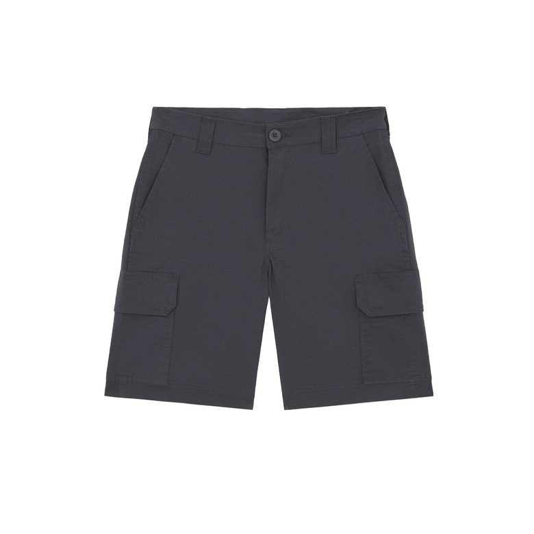 Dickies short grey