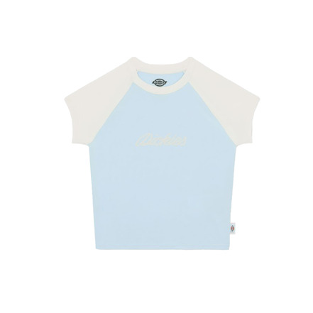 Dickies t-shirt blauw