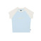 Dickies t-shirt blauw 1