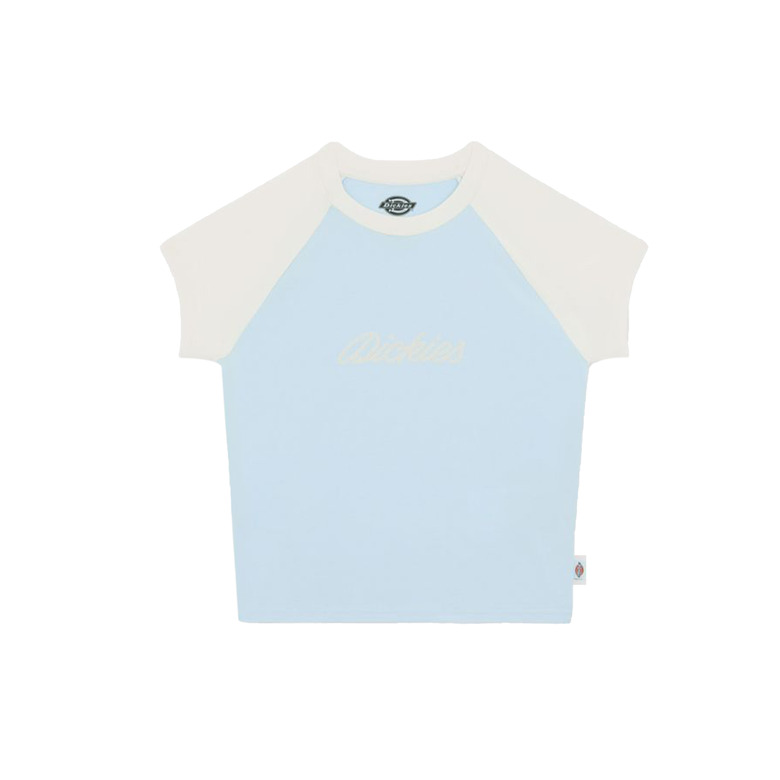 Dickies t-shirt blauw 1