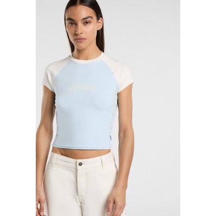 Dickies t-shirt blauw