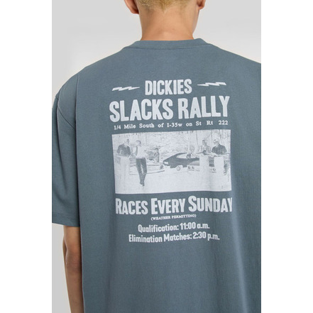 Dickies t-shirts blue