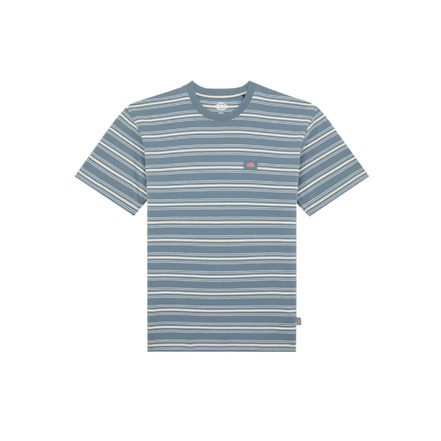 Dickies t-shirts blue