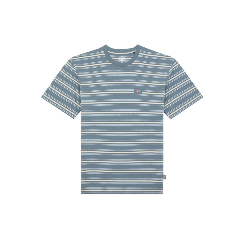 Dickies t-shirts blue
