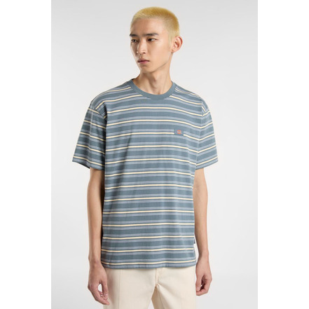 Dickies t-shirts blue