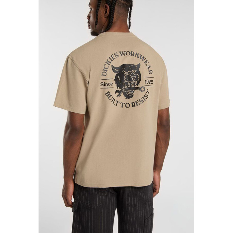 Dickies t-shirts lightbrown 3