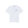 Dickies t-shirts white 1