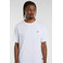 Dickies t-shirts white 2