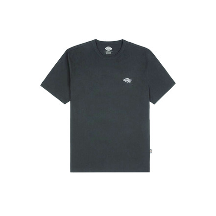 Dickies t-shirts blue