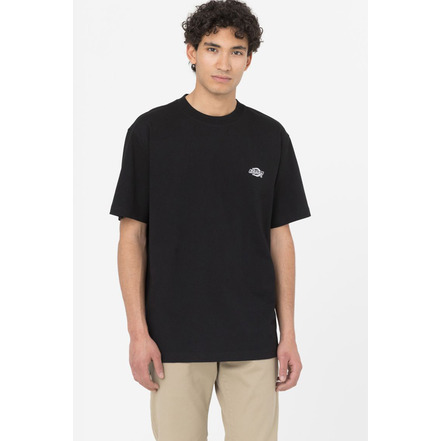 Dickies t-shirts blue