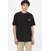 Dickies t-shirts blue 2