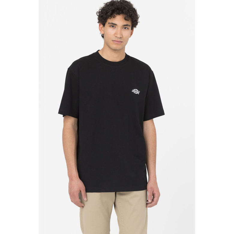 Dickies t-shirts blue 2