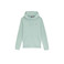 Dickies hoodie green 1
