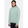 Dickies hoodie green 2