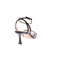 Lola Cruz sandalen zwart 4