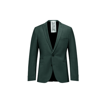 Drykorn blazer green