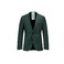 Drykorn blazer green