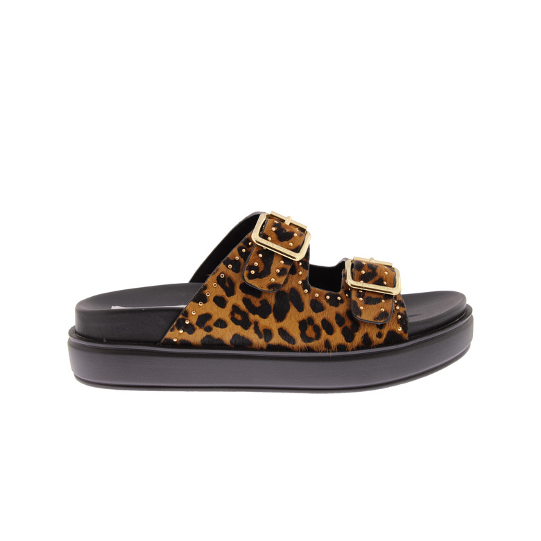 Steve Madden thong slippers brown 1