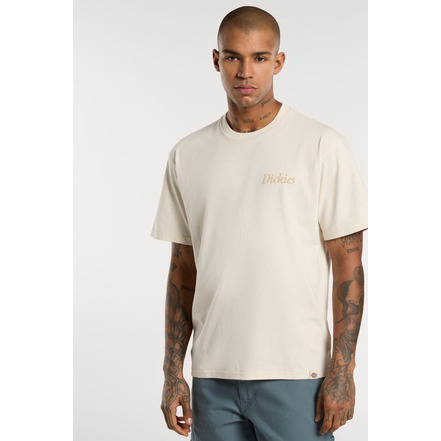 Dickies t-shirts lightbrown