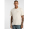 Dickies t-shirts lightbrown 2