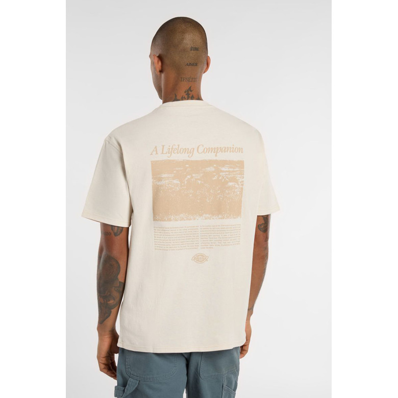 Dickies t-shirts lightbrown 3